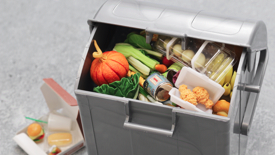 Gaspillage : vingt-quatre kilos de nourriture à la poubelle !