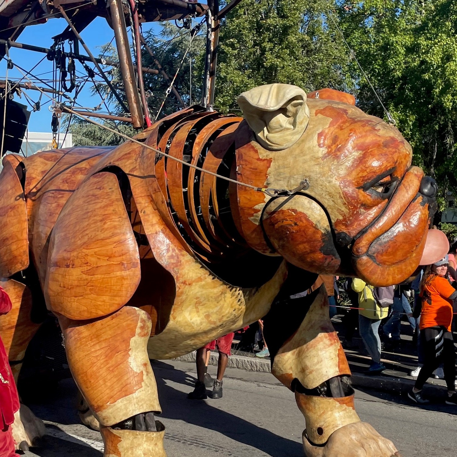 Nantes. Les chiens de Royal de Luxe attirent et séduisent ! - HIT WEST