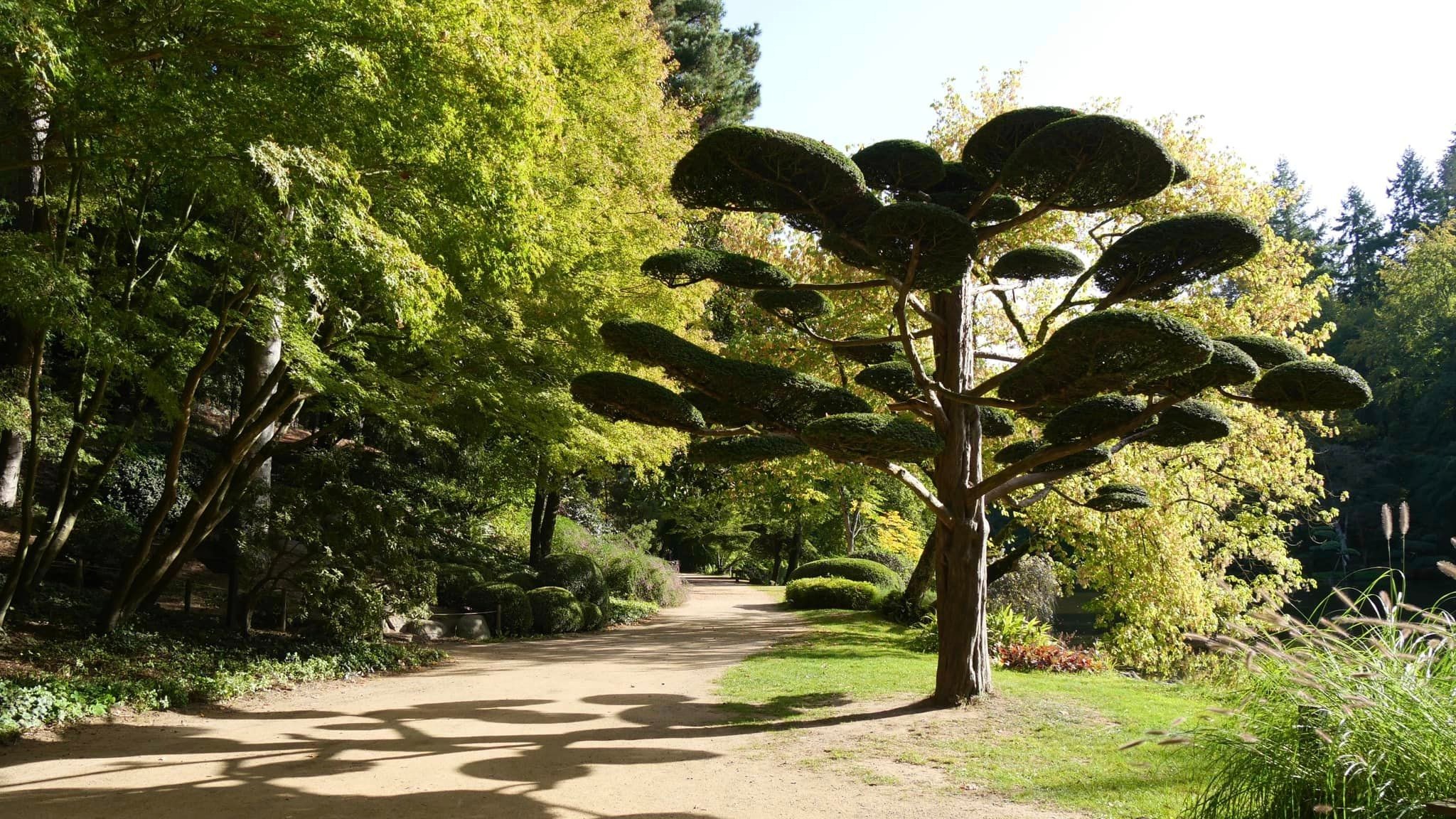 Clap de fin de saison pour le parc oriental de Maulévrier