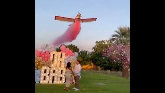 Mexique : le pilote engagé pour leur "gender reveal" se tue, la...