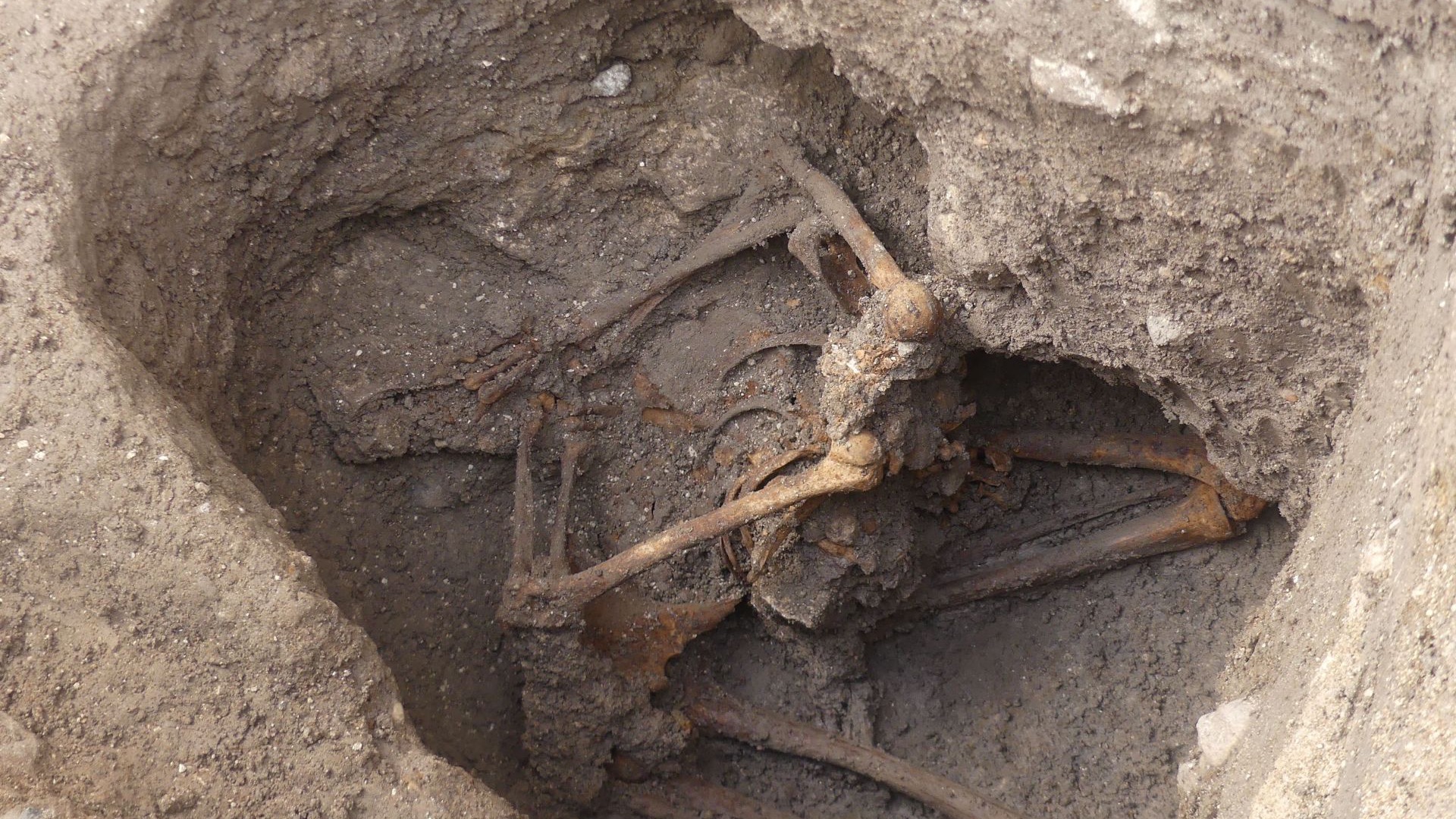 Le pôle d'archéologie d’Orléans fête ses 30 ans ! 