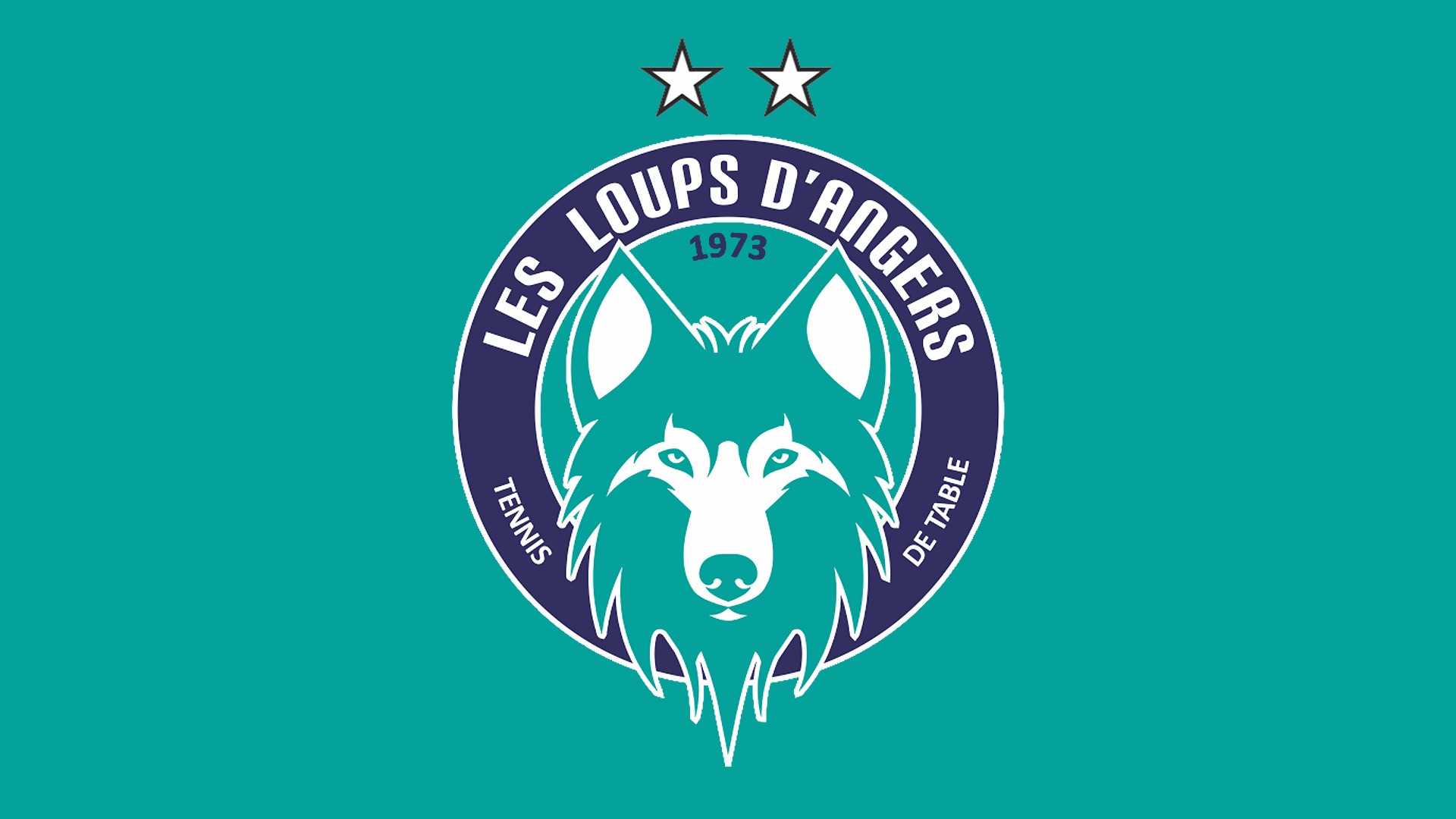 L'actualité des Loups d'Angers