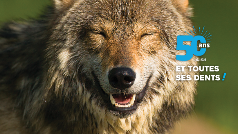 Le parc des Deux-Sèvres fête cette année ses 50 ans.