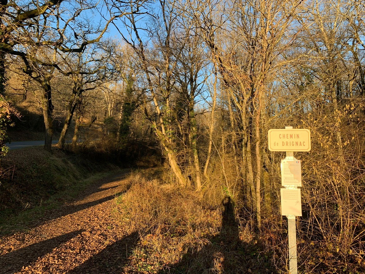 L'extrémité sud du chemin de Drignac avant les recherches.