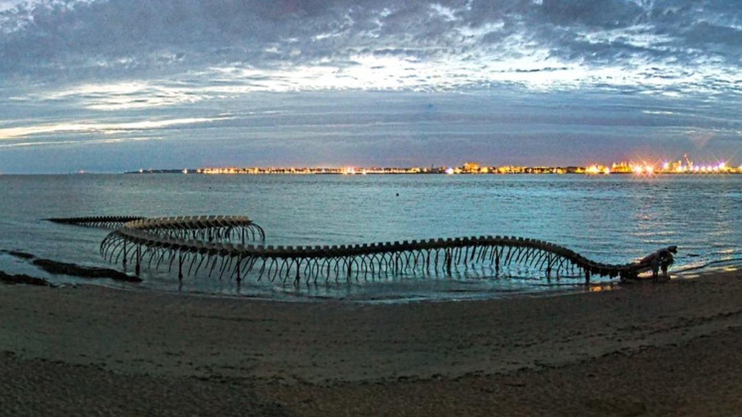 Saint-Brévin : une caméra filme désormais le Serpent d'Océan nuit...