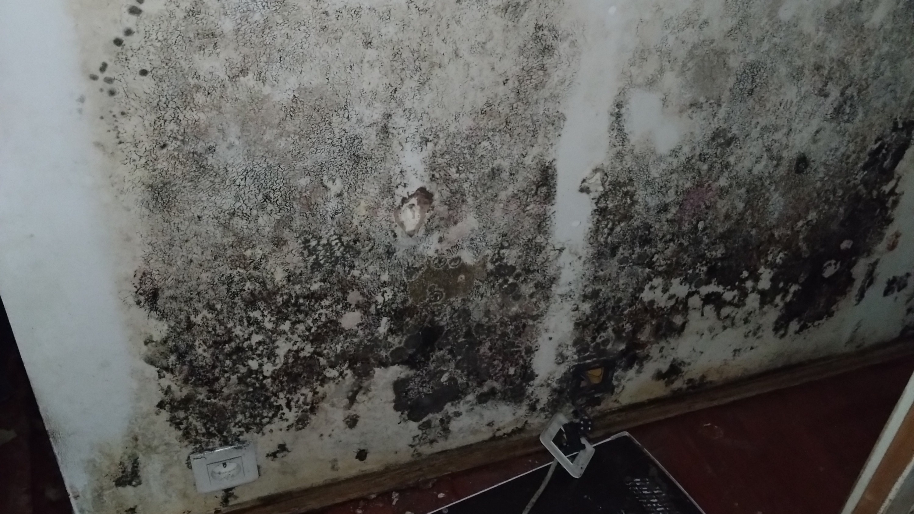 Saint-Nazaire: le cauchemar d'une famille depuis l'achat de leur...