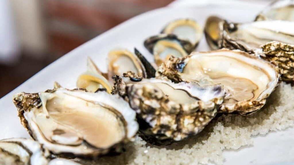 Baie de Bourgneuf : la vente d'huîtres à nouveau autorisée