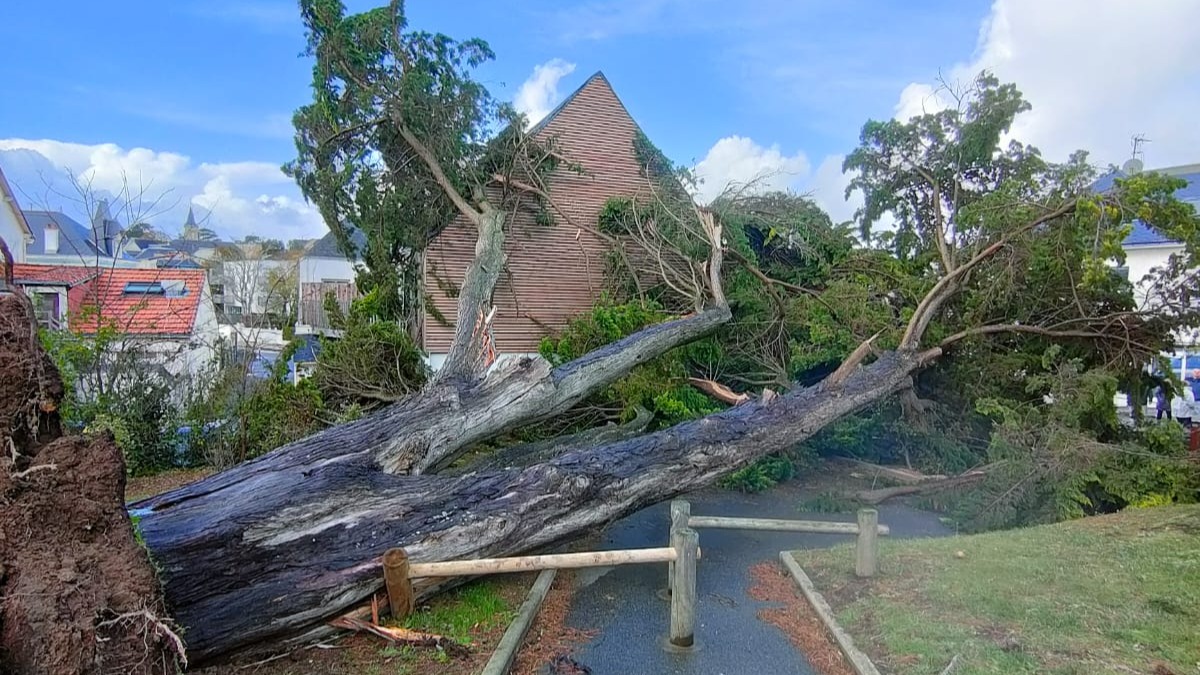Tempête Domingos : que faut-il attendre de ce nouveau coup de vent...