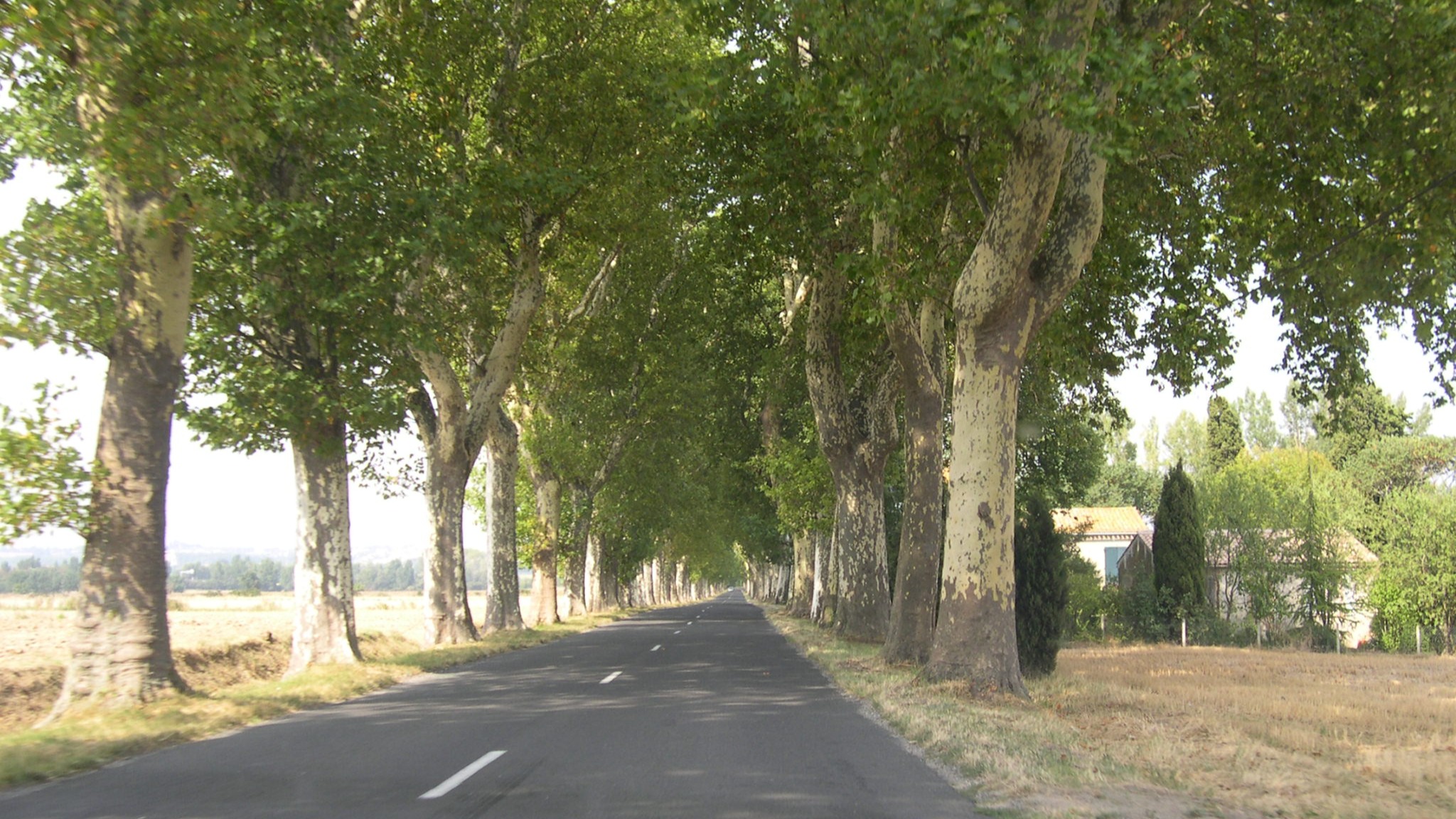  Nozay : un homme de 77 ans écrasé par un arbre qu'il abattait