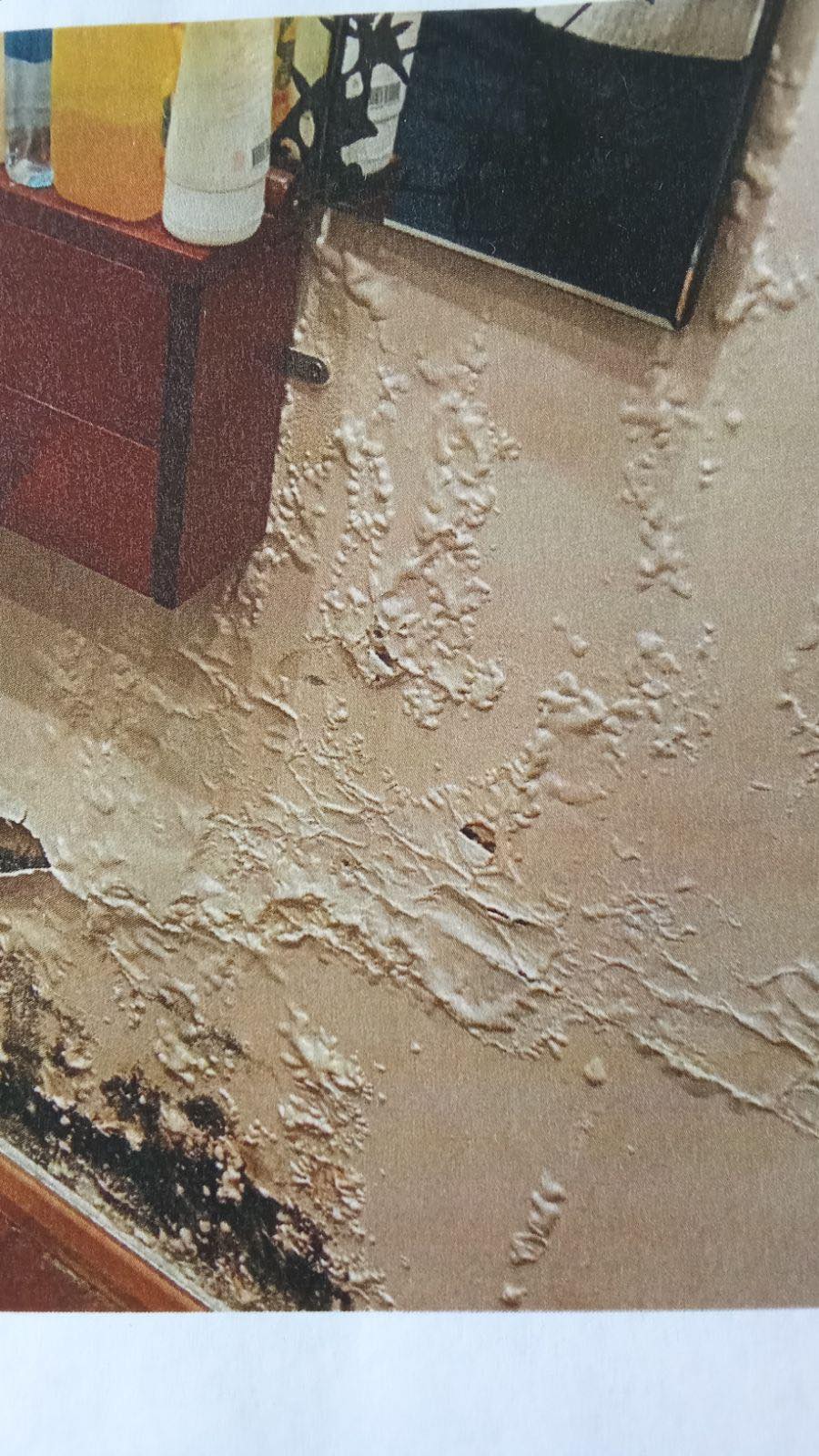 429414981_1425137965062806_6025737466555714923_n.jpg (245 KB)