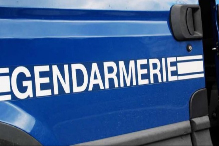 Fourmies : une vache percutée par un train ce lundi matin