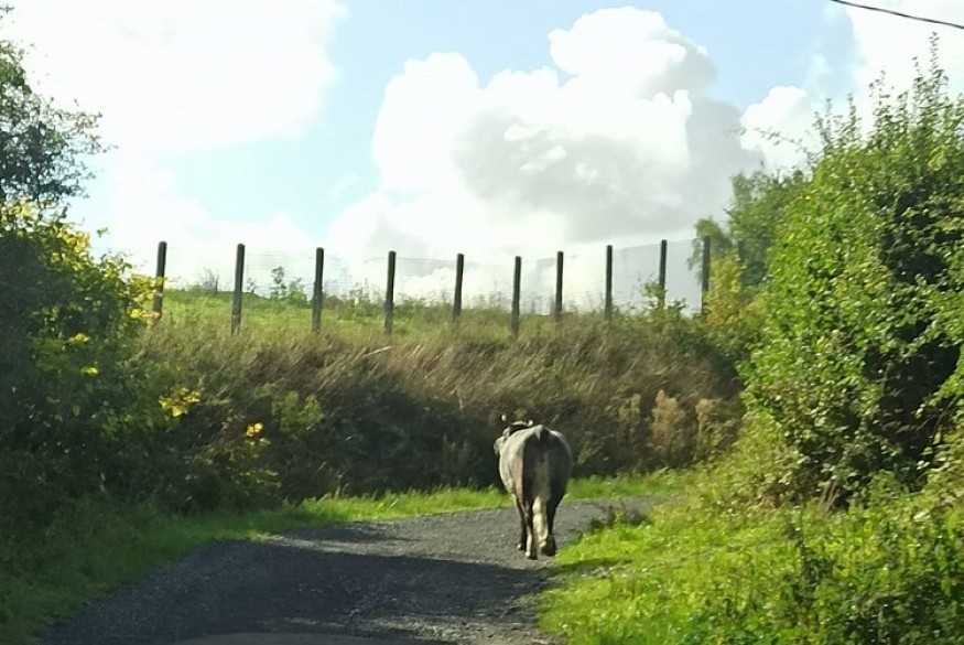 En bref ce mardi 20 septembre 2022 dans le sud-Avesnois et en...