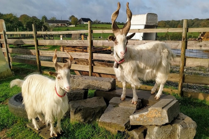 Anor : un appel aux dons, une recherche des bénévoles et une vente...
