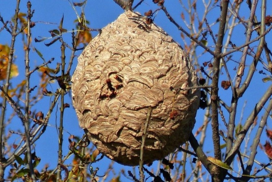 En bref ce vendredi 14 octobre 2022 dans le sud-Avesnois et en...