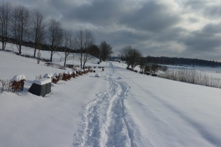 En bref ce mardi 13 décembre 2022 dans le sud-Avesnois et en Thiérache