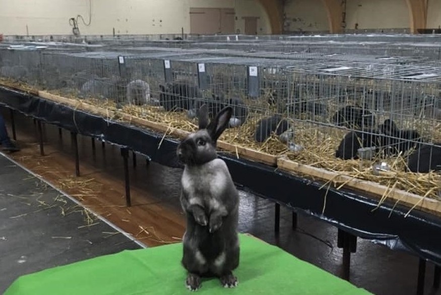 L'actu en bref du mercredi 8 novembre 2023 dans le Cœur de...