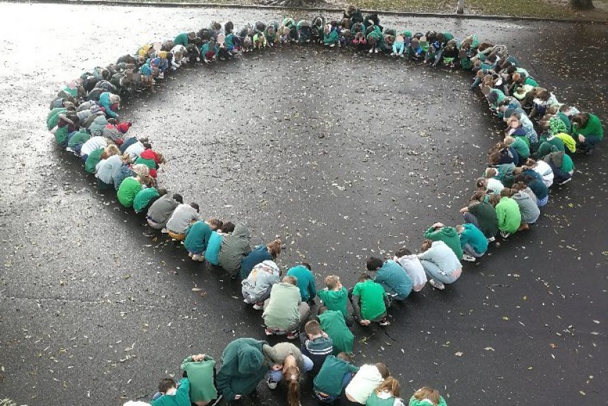 Harcèlement scolaire - Dans les écoles, une forte mobilisation