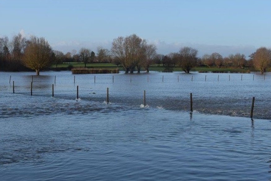 L'actu en bref du vendredi 10 novembre 2023 dans le Cœur de...