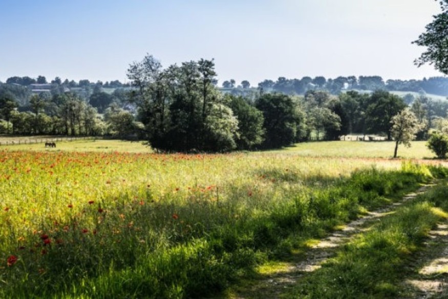 L'actu en bref du lundi 18 décembre 2023 dans le Cœur de l’Avesnois...