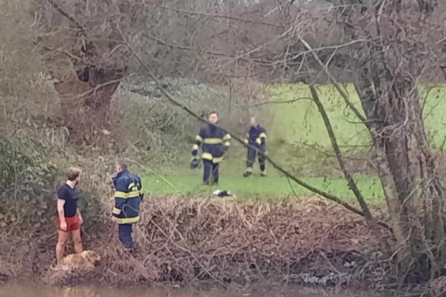 Rousies - Il saute dans la Sambre pour sauver un chien en difficulté