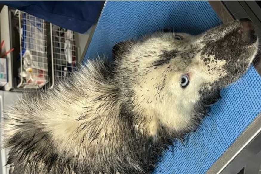 L'actu en bref du mardi 9 janvier 2024 dans le Cœur de l’Avesnois...