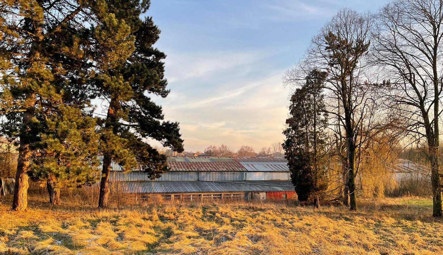 Phénix 3.jpg (768 KB)