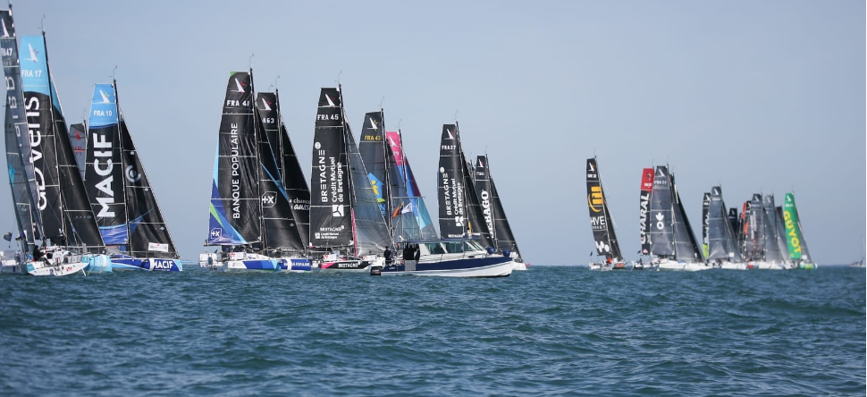 Solo Maitre CoQ 2019