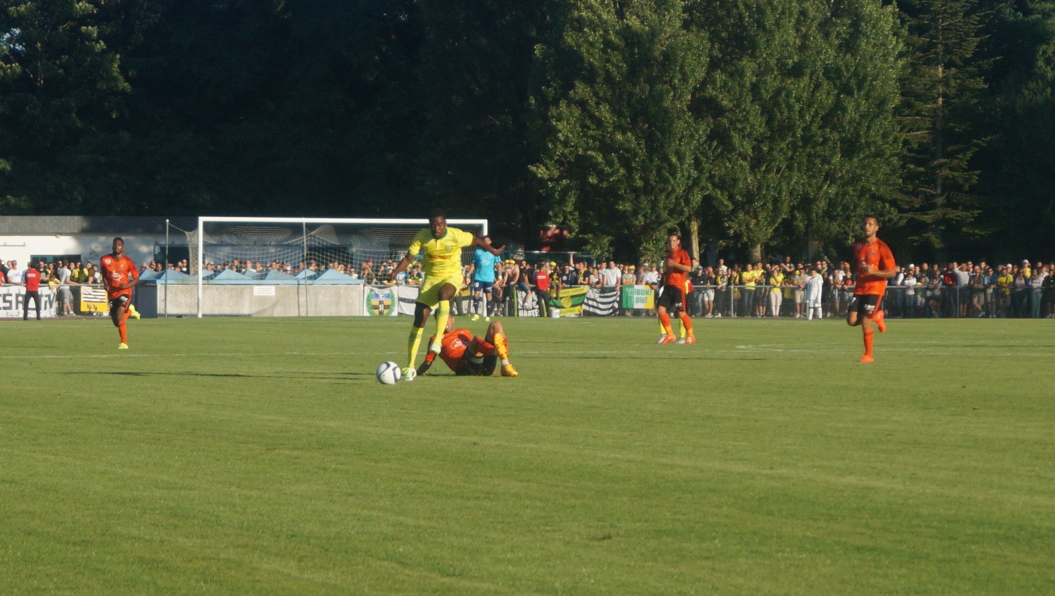 Les Canaris écrasent les Merlus à La Baule !